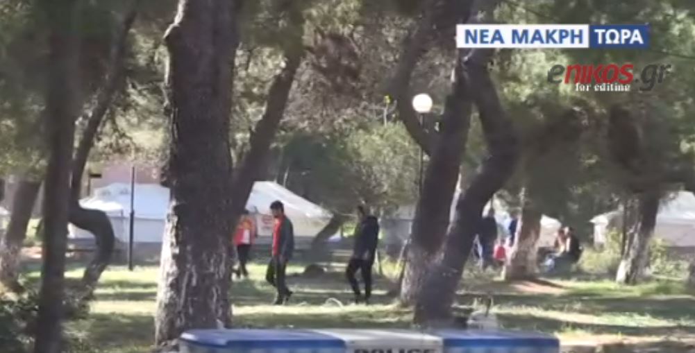 Πρόσφυγες από το λιμάνι του Πειραιά μεταφέρθηκαν σε κατασκήνωση στην Αττική – ΒΙΝΤΕΟ