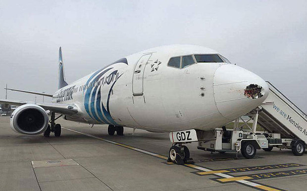 Σύγκρουση αεροπλάνου με…πουλί – ΦΩΤΟ