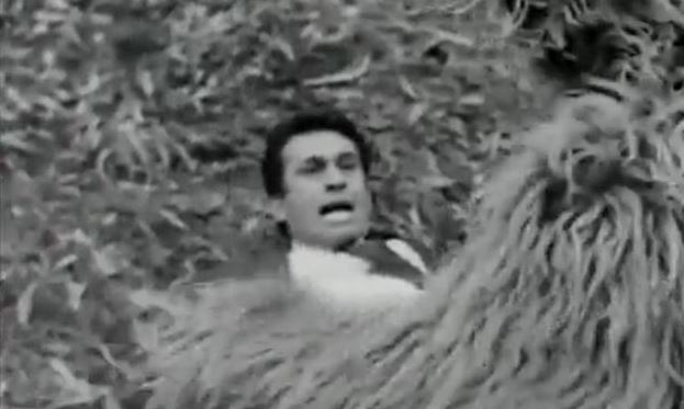 Ποιος Ντι Κάπριο; Δείτε τον Ξανθόπουλο όταν τα έβαζε με την αρκούδα 47 χρόνια πριν