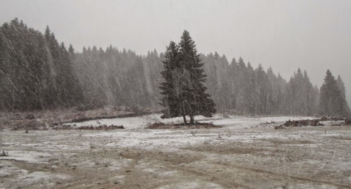 Έντονη χιονόπτωση στα ορεινά χωριά των Τρικάλων – ΦΩΤΟ