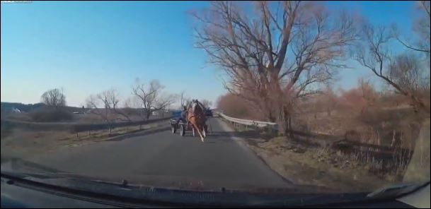 Μετωπική ΙΧ με άλογο – ΒΙΝΤΕΟ