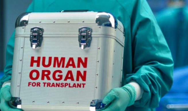 Πύργος – δωρεά οργάνων: Δώρο ζωής από την Διονυσία