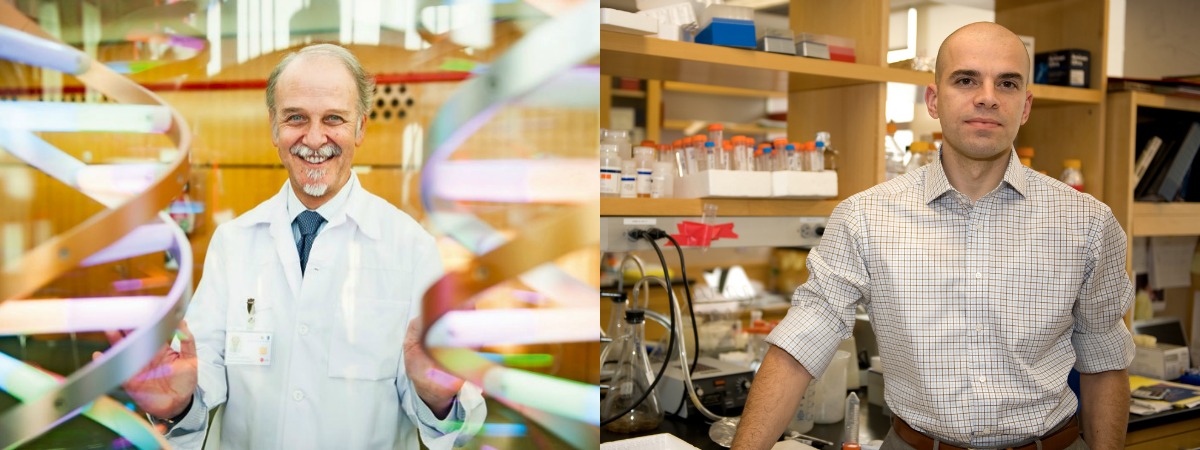 Έλληνες ανακάλυψαν νέα γονίδια που ευθύνονται για τoν καρκίνο του δέρματος