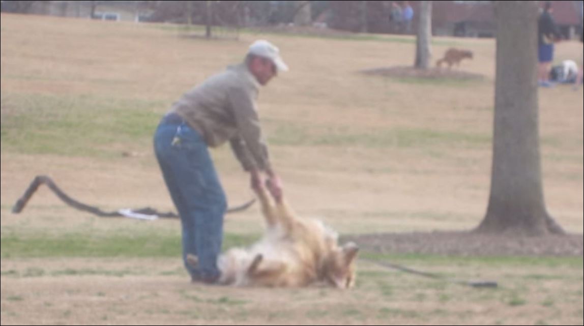 O ξεκαρδιστικός σκύλος που παριστάνει τον… νεκρό για να μη γυρίσει σπίτι – ΒΙΝΤΕΟ