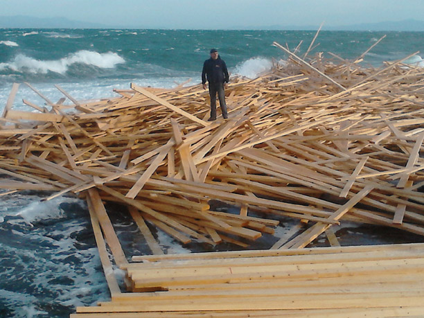 Γαλλία: Εισαγωγή ξυλείας από τις ΗΠΑ για τη θέρμανση προάστιου του Παρισιού