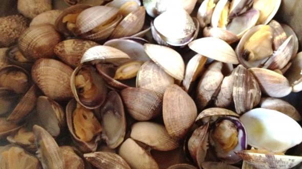 Αλεξανδρούπολη: Δυο συλλήψεις και κατάσχεση 2,5 και πλέον τόνων ακατάλληλων οστράκων