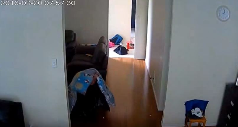 Το viral βίντεο με τον διαρρήκτη που προσπαθεί να κρυφτεί με παιδικό πάπλωμα