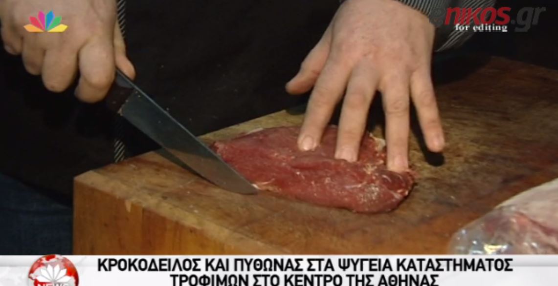 Σερβίρουν κροκόδειλο και πύθωνα σε μαγαζί της Αθήνας – ΒΙΝΤΕΟ