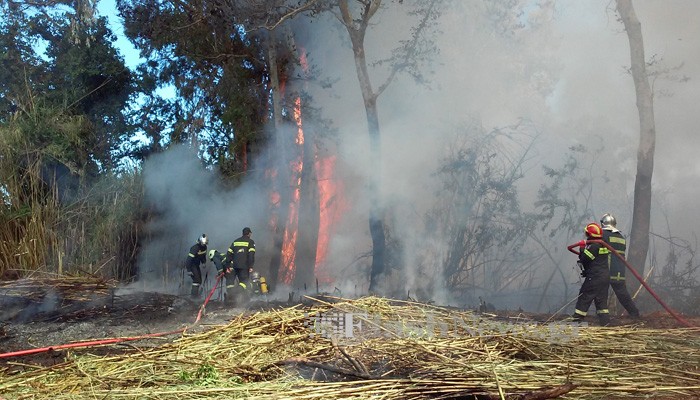 Χανιά: Φωτιά κοντά σε αποθήκη τροφίμων – ΒΙΝΤΕΟ