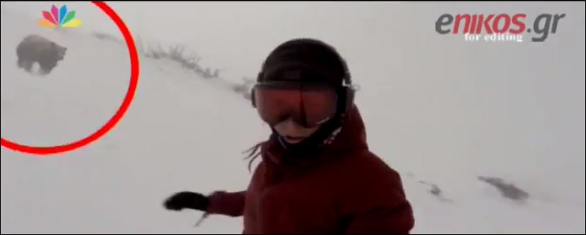 Το σνόουμπορντ ήταν πιο γρήγορο από την… αρκούδα – ΒΙΝΤΕΟ