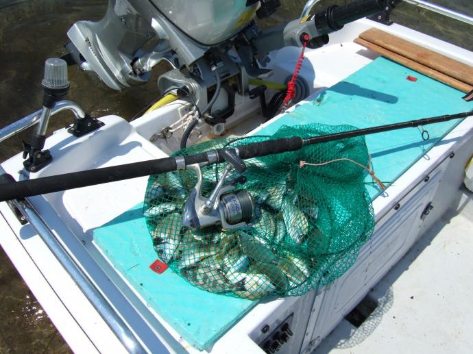 Επανέρχεται ανά έτος και αυξημένος κατά 50% ο φόρος στο… ψάρεμα