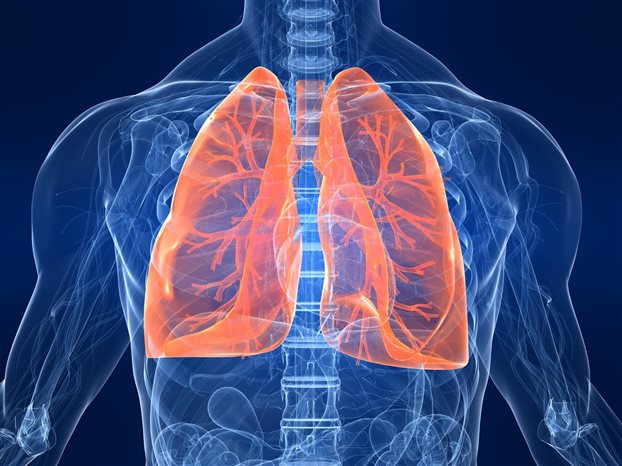Πνευμονική ίνωση: Όταν οι πνεύμονες γεμίζουν ουλές