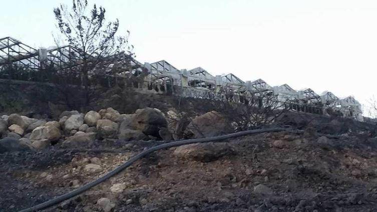 Εκατοντάδες στρέμματα στάχτη από τη φωτιά στην Ιεράπετρα