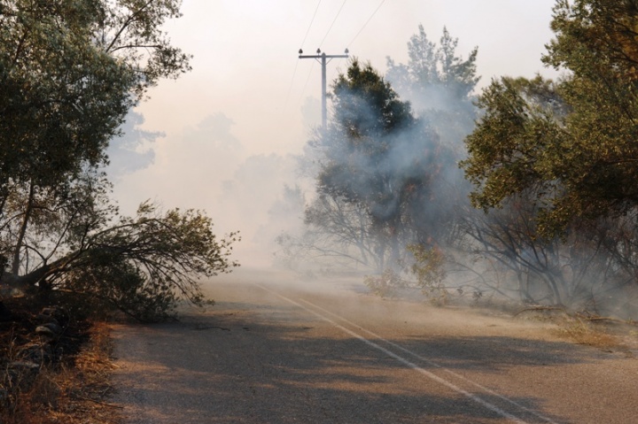 Χίος: Συνεχίζει το καταστροφικό της έργο η φωτιά στις Αμάδες