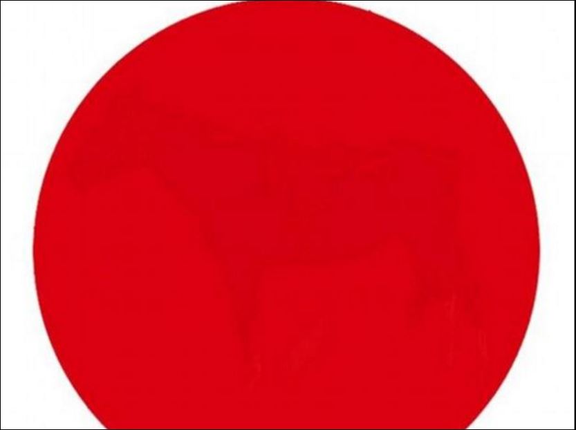 Η οπτική ψευδαίσθηση που αποδεικνύει πόσο καλή είναι η όρασή σας – ΦΩΤΟ