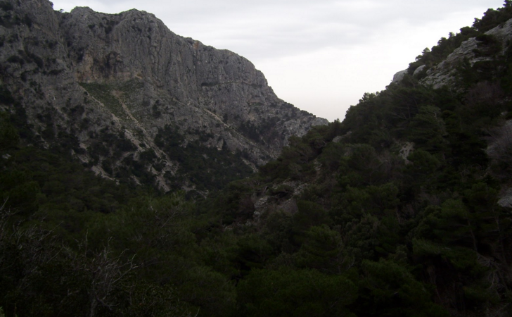 Επιχείρηση απεγκλωβισμού ατόμου από χαράδρα στην Πάρνηθα