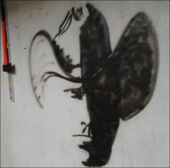 Η ΦΩΤΟ που μπέρδεψε το διαδίκτυο: Μπορείτε να βρείτε τι απεικονίζει;