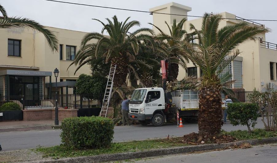 Προετοιμασίες στην Μυτιλήνη για την επίσκεψη του Πάπα Φραγκίσκου – ΦΩΤΟ