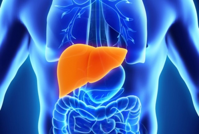 Πώς πρέπει να αποτοξινώνετε το συκώτι σας