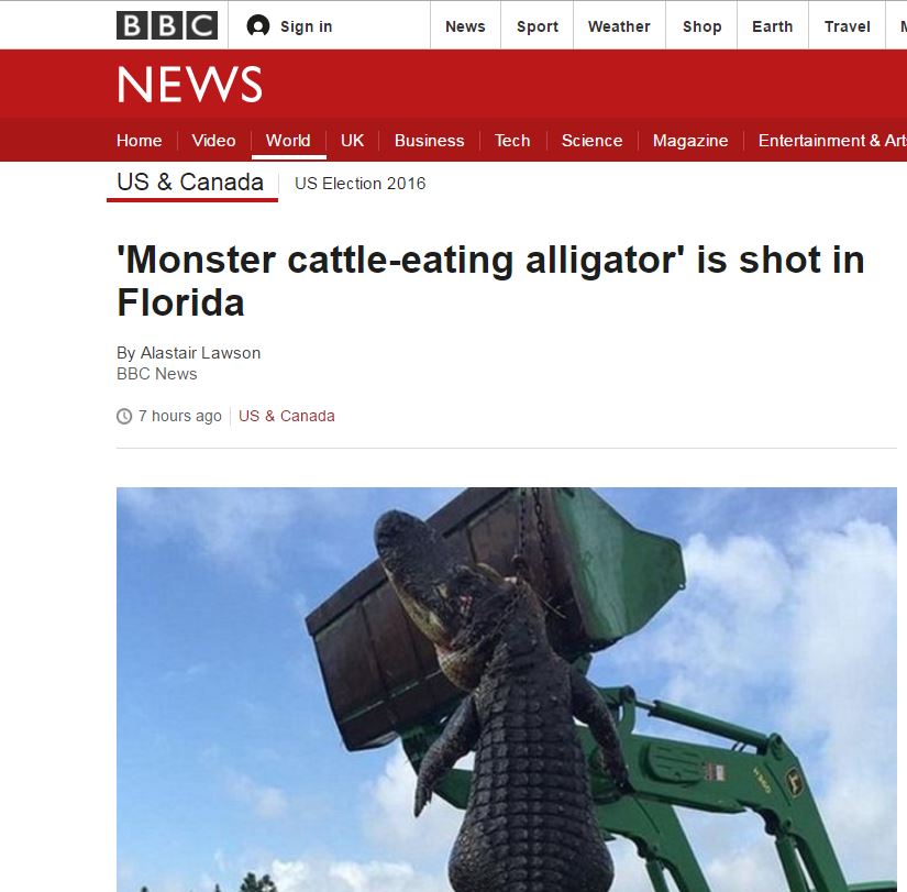 Αλιγάτορας τέρας προκαλεί δέος στη Φλόριντα – ΦΩΤΟ