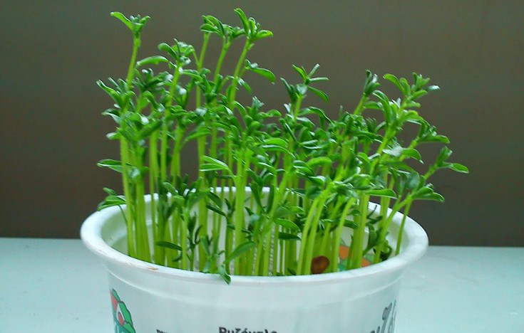 Perierga.gr - Φωτογραφίες που μας θυμίζουν το δημοτικό!