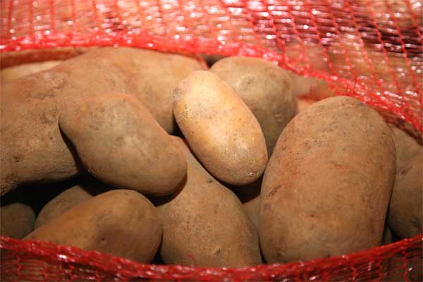Πατάτες από… χρυσό; Πλήρωσε 1000 ευρώ για 10 κιλά