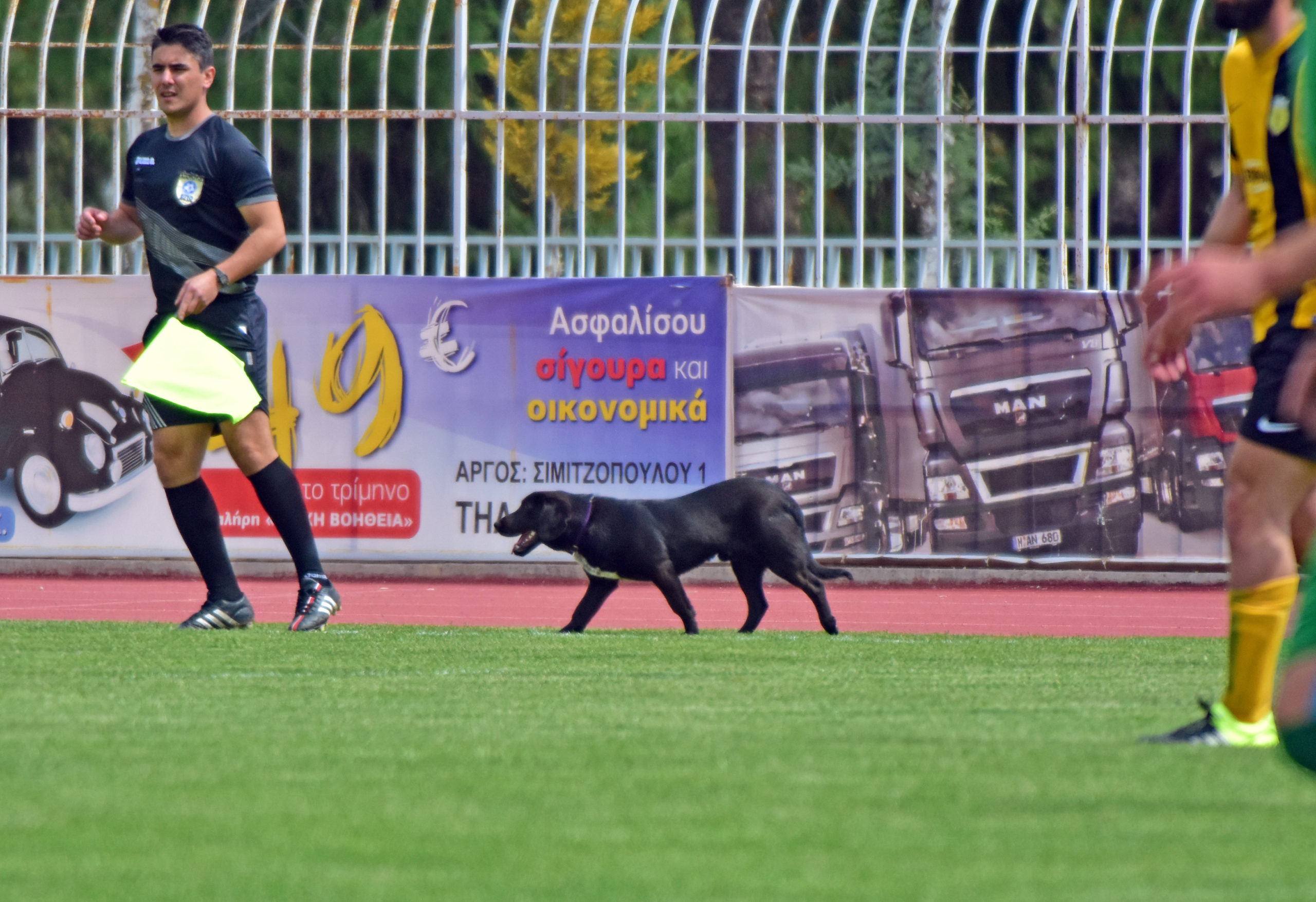 Τετράποδος εισβολέας σε ποδοσφαιρικό αγώνα – ΦΩΤΟ