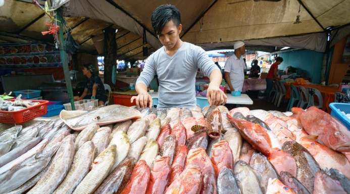 Ένα στα τέσσερα ψάρια που τρώμε περιέχει ανθρώπινα σκουπίδια