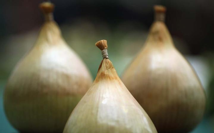 perierga.gr - Τα πιο παράξενα αντικείμενα που έχουν κατασχεθεί σε αεροδρόμια