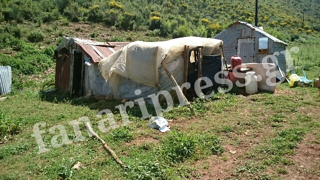 Σε αυτό τον στάβλο εντοπίσθηκε το θύμα της άγριας δολοφονίας – ΒΙΝΤΕΟ