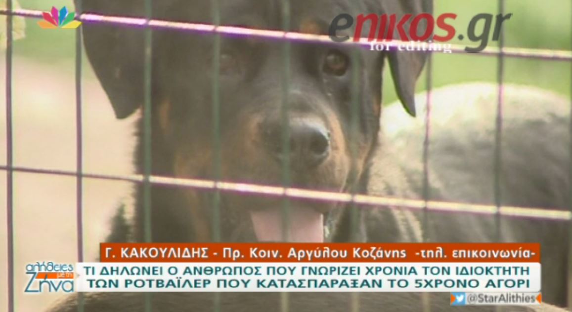 Tι δηλώνει ο πρόεδρος της τοπικής κοινότητας για τον ιδιοκτήτη των ροτβάιλερ – ΒΙΝΤΕΟ