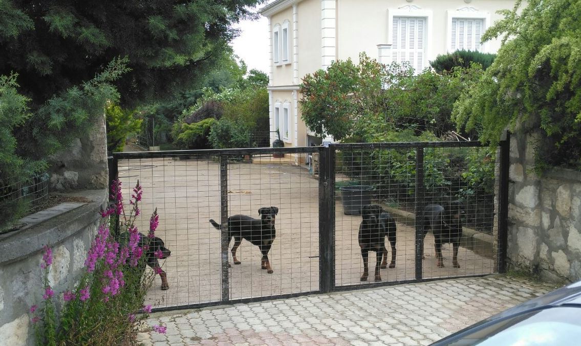 Σοκάρει η ιατροδικαστική έκθεση για την φονική επίθεση των ροτβάιλερ στον 5χρονο