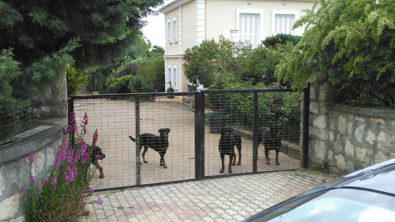 Ανείπωτος θρήνος στην κηδεία του αδικοχαμένου 5χρονου