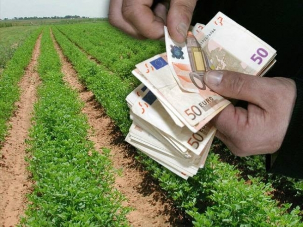Ο “εκατομμυριούχος” αγρότης από τις Σέρρες: Θα τα έδινα στους αγρότες από τα μπλόκα – ΒΙΝΤΕΟ