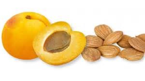 Ποιά κουκούτσια μπορεί να προκαλέσουν θανατηφόρα δηλητηρίαση;