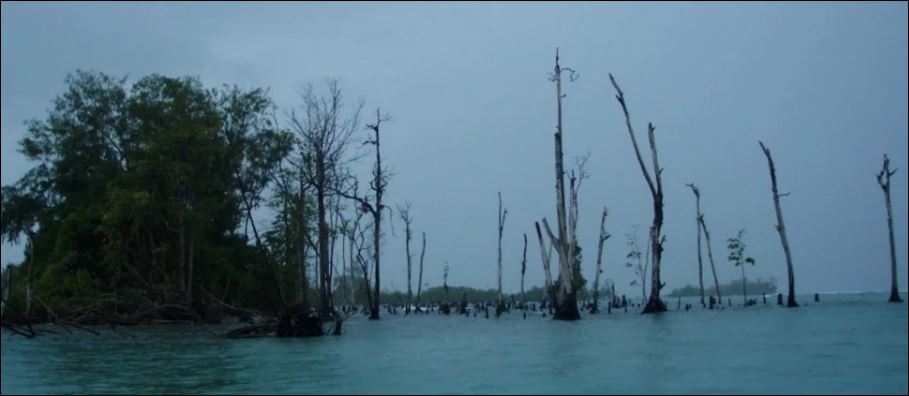 Πέντε νησιά στον Ειρηνικό Ωκεανό εξαφανίστηκαν λόγω της κλιματικής αλλαγής – ΒΙΝΤΕΟ