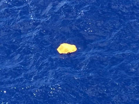 Θρίλερ με το αεροσκάφος της EgyptAir – Το χρονικό και τα σενάρια της συντριβής