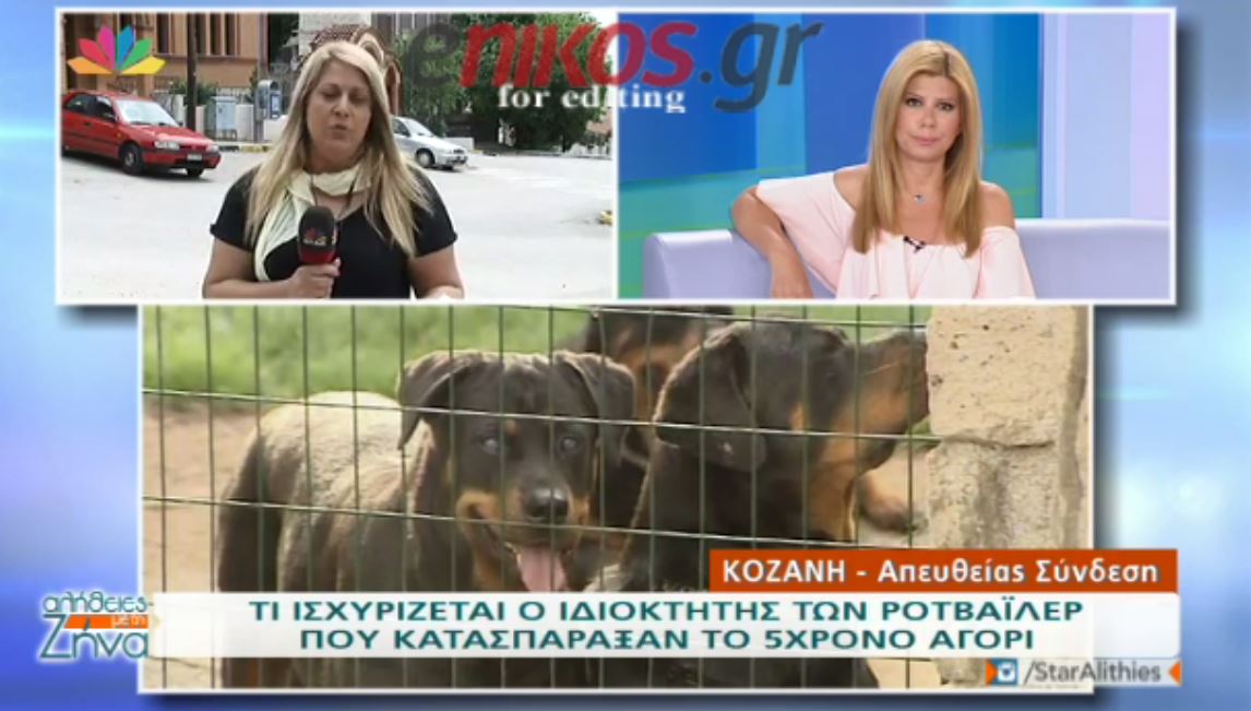 “Ο 5χρονος πήγαινε συχνά στο σπίτι με τα ροτβάιλερ” – ΒΙΝΤΕΟ
