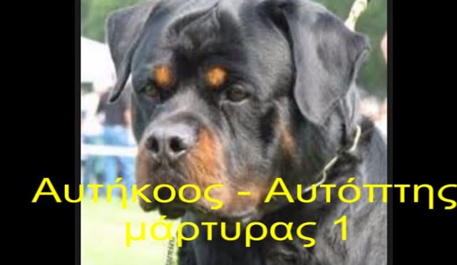 Σοκάρουν οι περιγραφές μαρτύρων της φονικής επίθεσης των Ροτβάιλερ στον 5χρονο – ΒΙΝΤΕΟ