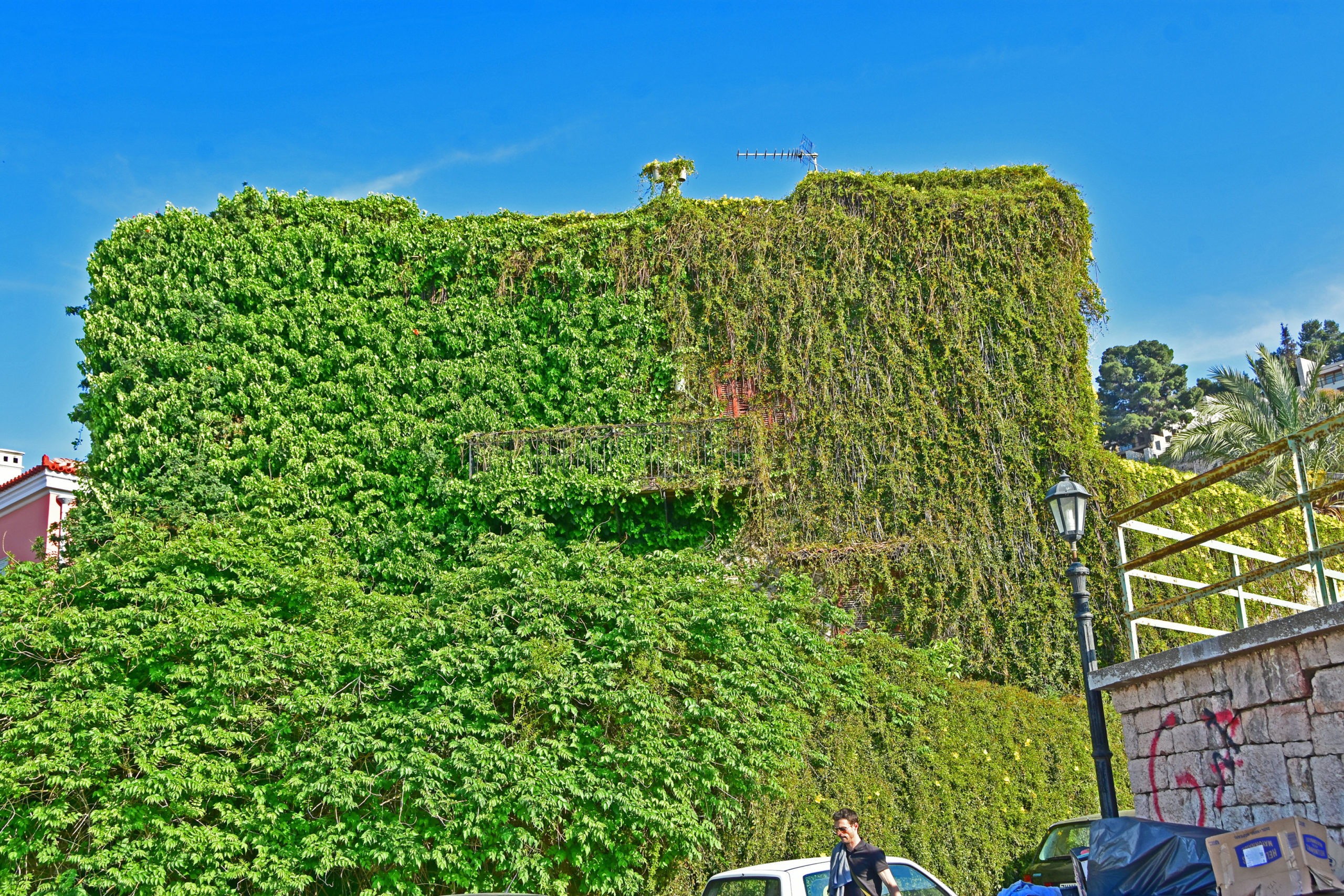 Το εντυπωσιακό σπίτι-δάσος στο Ναύπλιο – ΦΩΤΟ