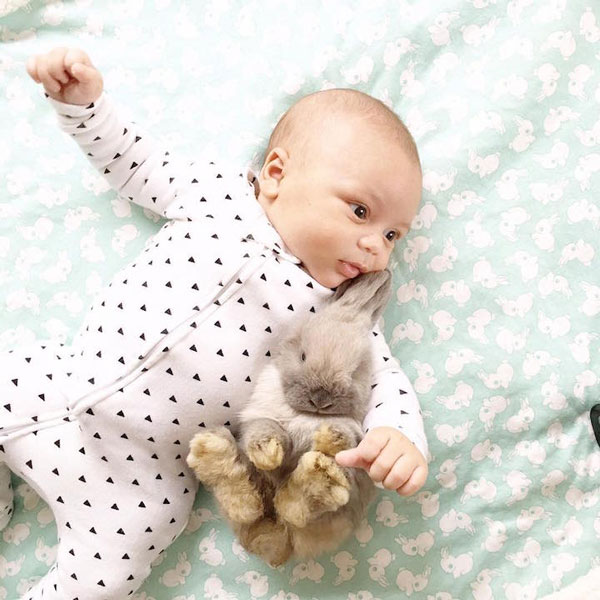 perierga.gr - Ασυνήθιστο... ζευγάρι γίνεται viral στο Ίντερνετ!