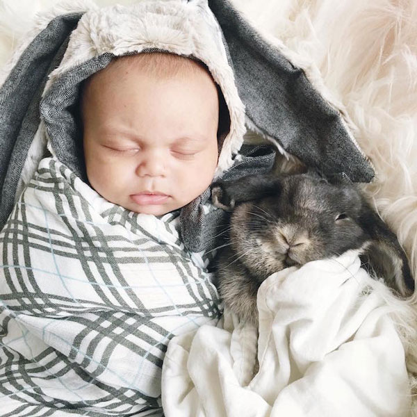 perierga.gr - Ασυνήθιστο... ζευγάρι γίνεται viral στο Ίντερνετ!