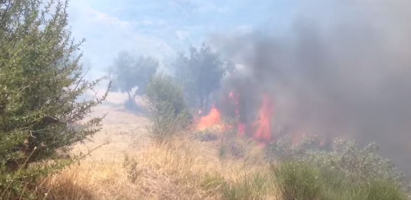 Φωτιά στον Άγιο Στέφανο – ΤΩΡΑ