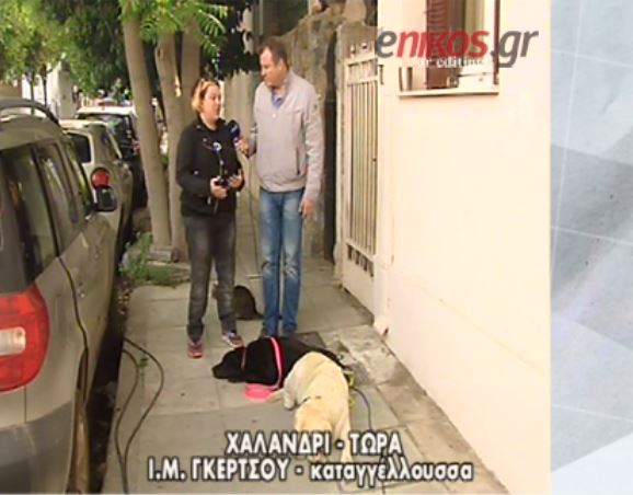 Τι καταγγέλλει η γυναίκα με τον σκύλο-οδηγό: 9 αστυνομικοί ήρθαν να με συλλάβουν – ΒΙΝΤΕΟ