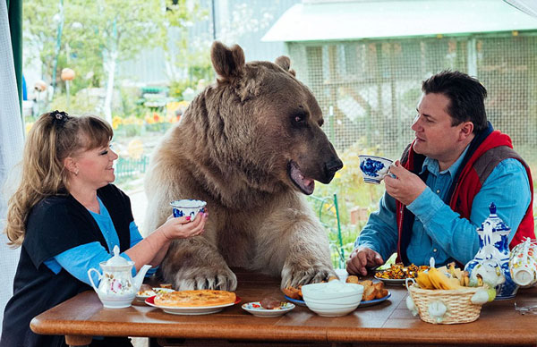 perierga.gr - Αρκούδα ζει σαν... κατοικίδιο με οικογένεια!