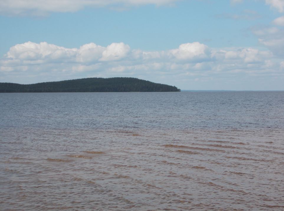 Τραγωδία στη Ρωσία – Πνίγηκαν 10 παιδιά σε λίμνη