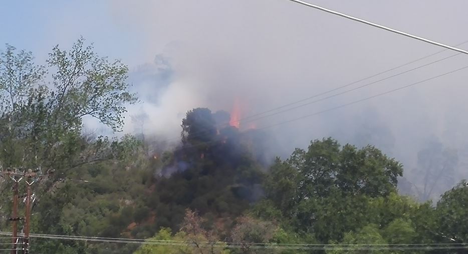 Υπό μερικό έλεγχο η πυρκαγιά στη Χαλκιδική