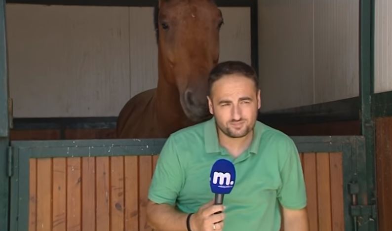 Το άλογο που συμπάθησε τον δημοσιογράφο και δεν τον άφησε να μεταδώσει το ρεπορτάζ – ΒΙΝΤΕΟ