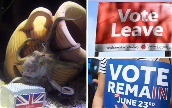 Τι προβλέπει ο Όττο το χταπόδι για το… Brexit