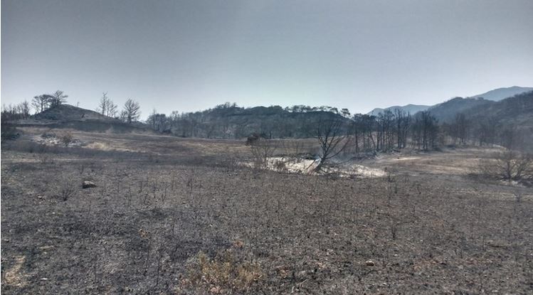 Εικόνες καταστροφής από την πυρκαγιά στη Ρόδο – ΦΩΤΟ